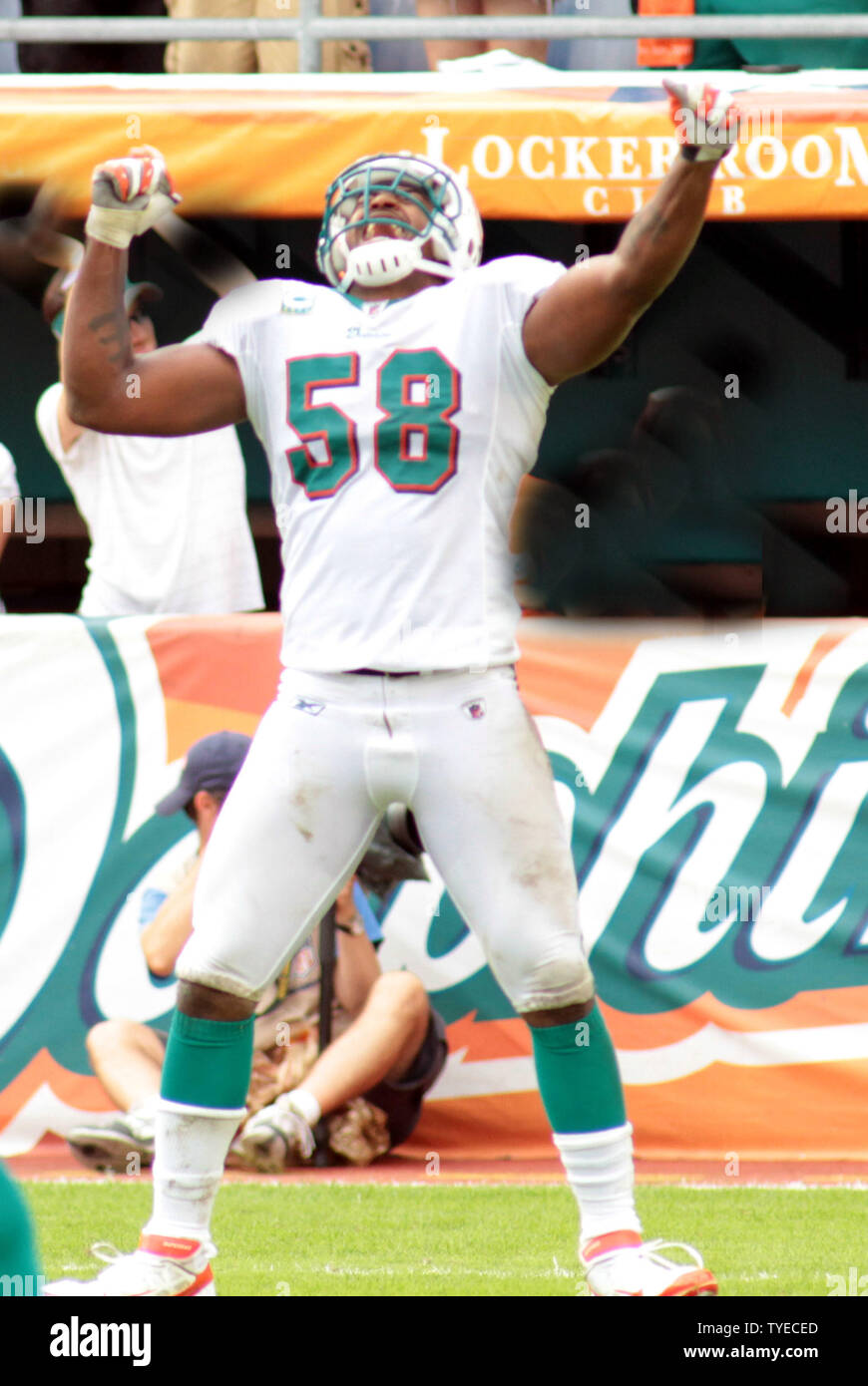 Le secondeur Karlos Dansby Miami Dolphins célèbre une interception contre les Bills de Buffalo au Sun Life Stadium le 20 novembre 2011 à Miami. Susan Knowles UPI UPI/Photo/Susan Knowles. Banque D'Images