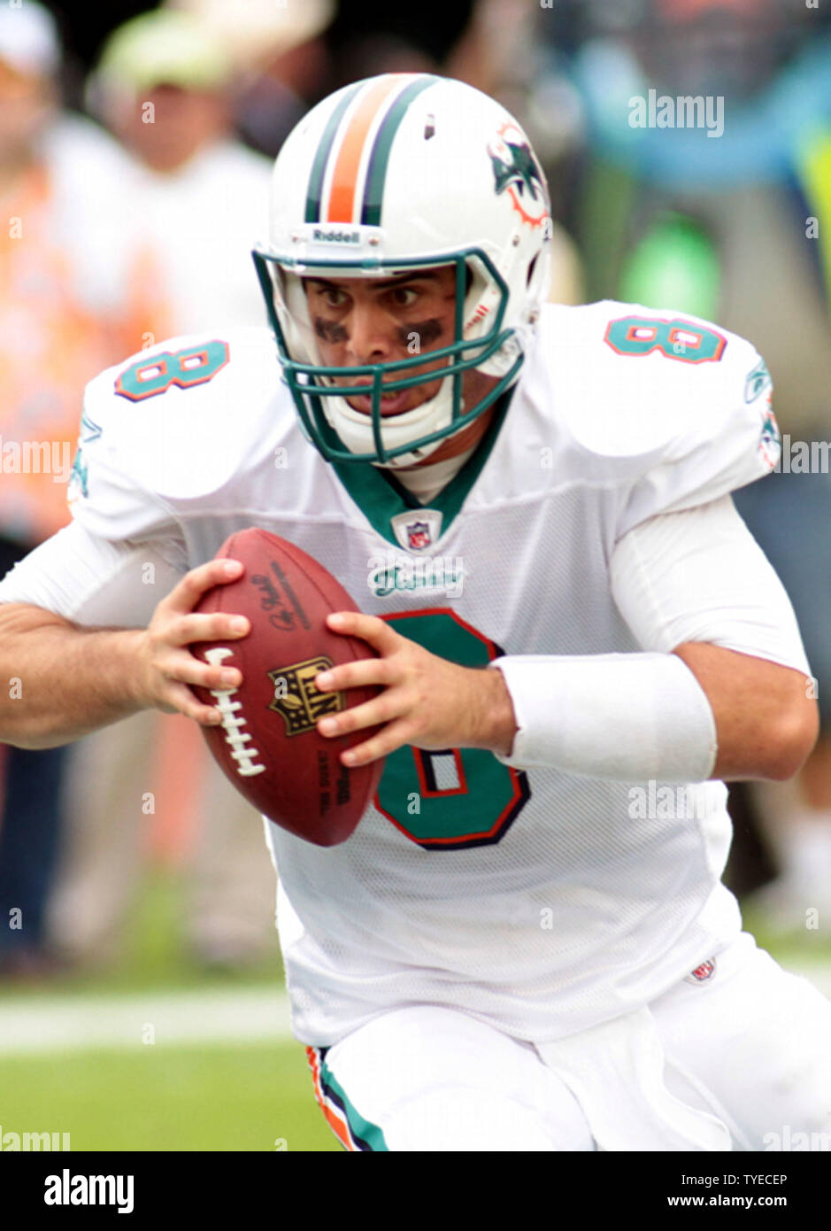 Miami Dolphins Quarterback Matt Moore court contre les Bills de Buffalo au cours du premier semestre le 20 novembre 2011 au Sun Life Stadium de Miami. UPI/Susan Knowles Banque D'Images