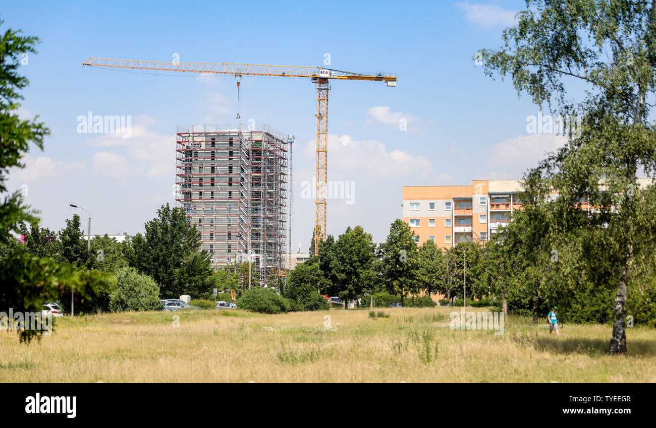 26 juin 2019, Saxe, Leipzig : Une grue se trouve à la soi-disant 'Lipsia Tower' dans le district de Leipzig-Grünau. Le même jour, l'écimage-out cérémonie a eu lieu pour la première réunification des tours dans le nouveau quartier de Leipzig Grünau des années 70 et 80. Dans l'avenir il y aura de 60 appartements sur 13 étages dans la chambre. La coopérative d'habitation Lipsia investit un bon 13 millions d'euros. Après des décennies d'abandon et la démolition de bâtiments préfabriqués vide, le nombre d'habitants est à la hausse pour la première fois. Photo : Jan Woitas/dpa-Zentralbild/dpa Banque D'Images