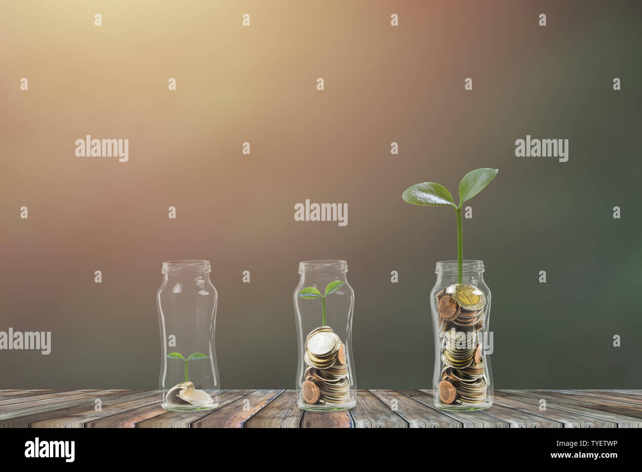 L'épargne et l'investissement. Affaires et finance concept. La croissance des plantes sur un tas de pièces en trois étapes de plus en plus pot de verre sur table en bois avec la lumière du soleil. Banque D'Images