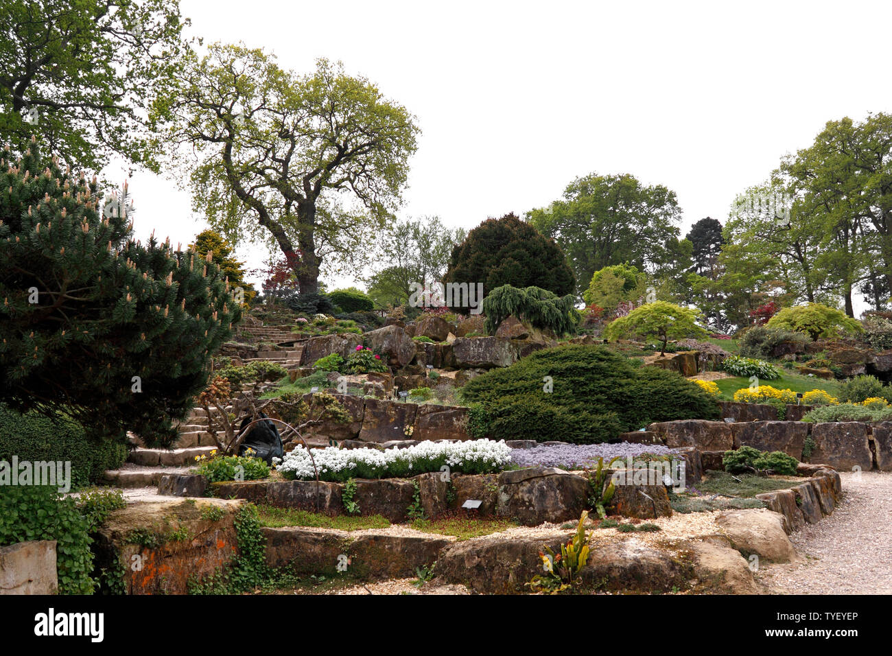 La terrasse du jardin de ROCHE À RHS WISLEY AU PRINTEMPS Banque D'Images