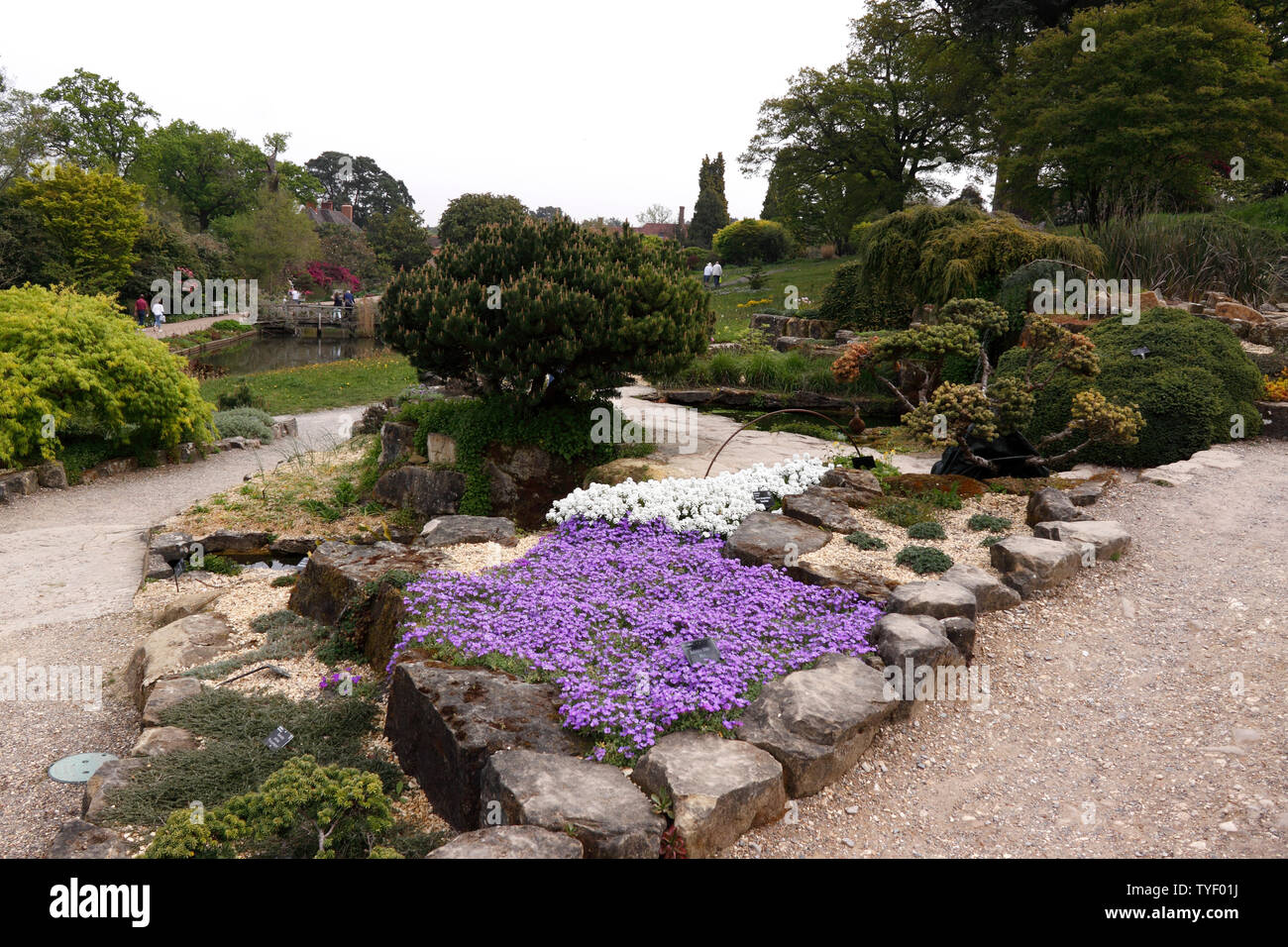 La terrasse du jardin de ROCHE À RHS WISLEY AU PRINTEMPS Banque D'Images