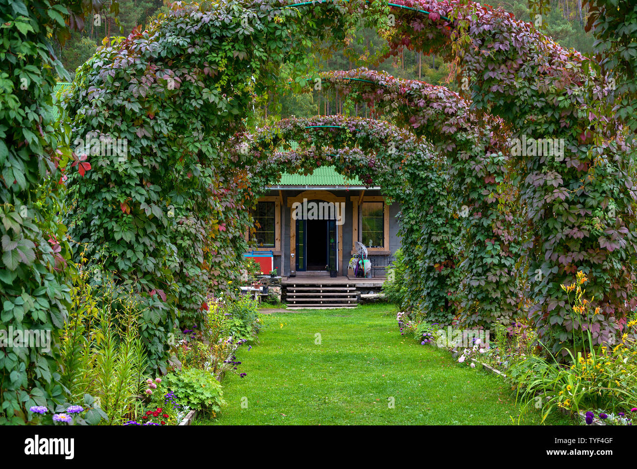 Arches décoratives dans le magnifique jardin à la fin de l'automne Banque D'Images