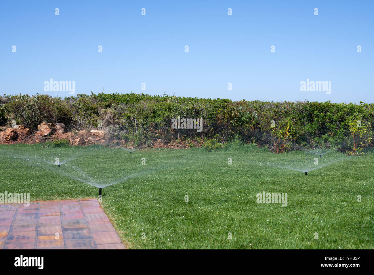 Système d'irrigation de jardin avec casiers à l'eau l'herbe Banque D'Images