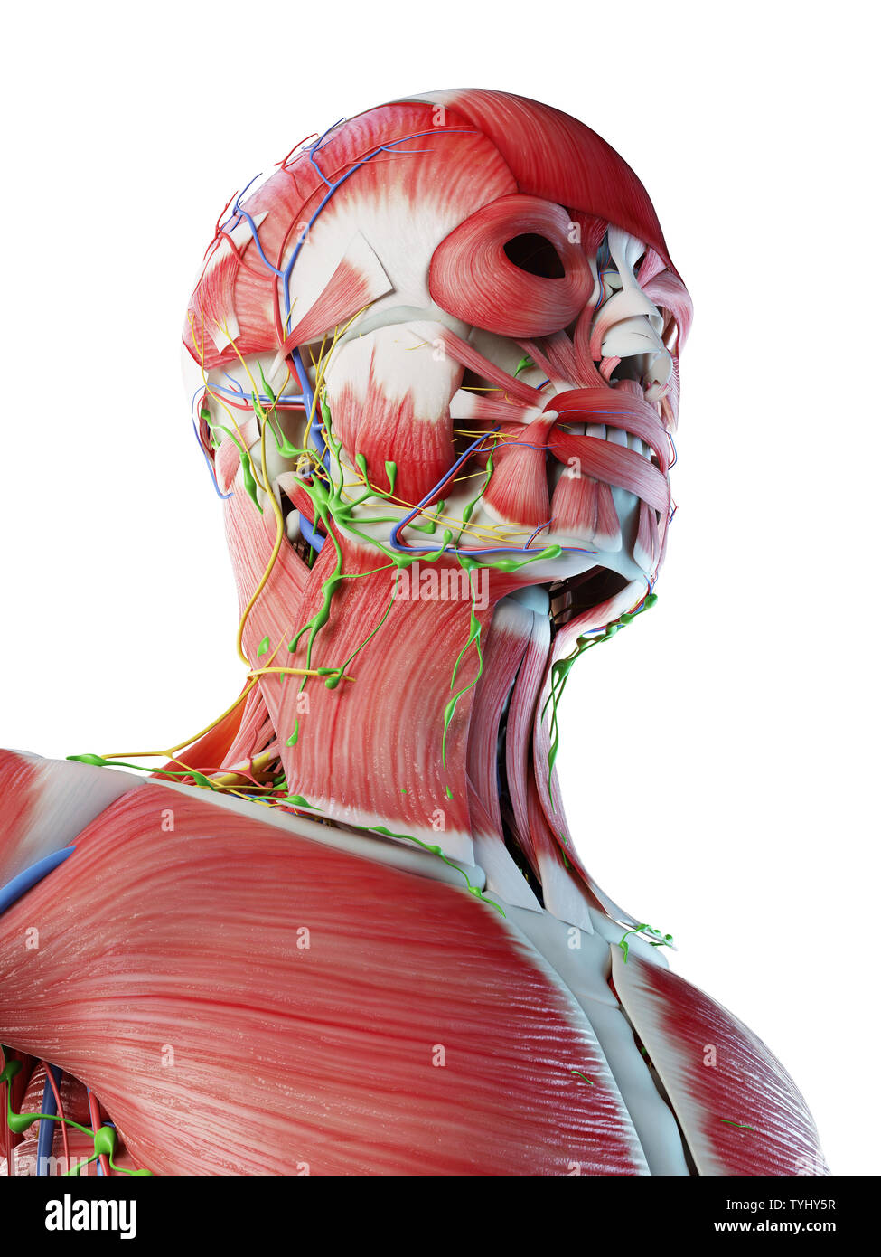 Rendu 3d illustration d'un mans Banque D'Images