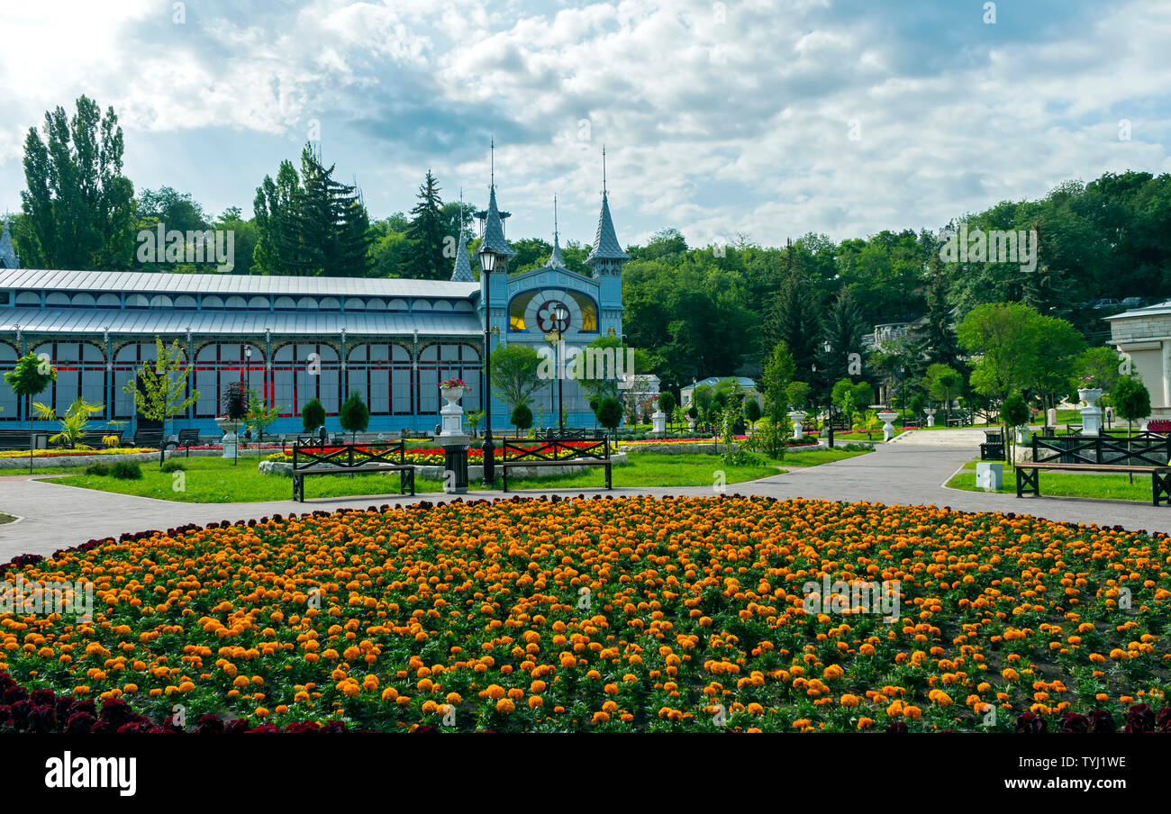 "Fleur du parc-jardin' - un des plus beaux et des lieux préférés de la station balnéaire de Zandvoort le nord du Caucase en Russie, fondé en 1828. Banque D'Images