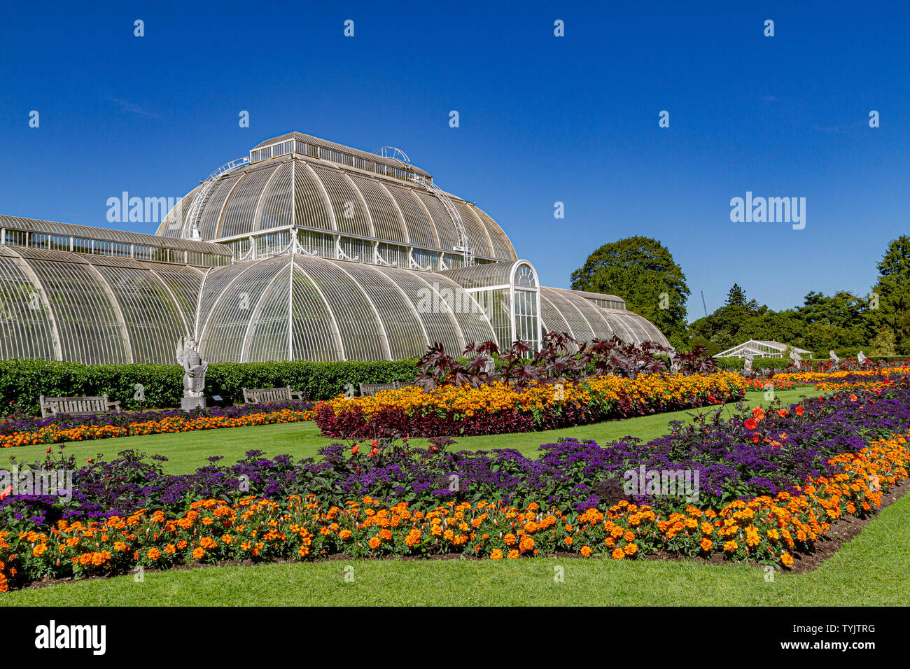 De fleurs en face de la la Palm House au Royal Botanic Gardens, Kew , , Londres .FR Banque D'Images