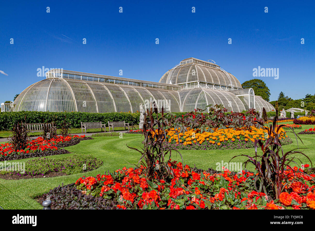 De fleurs en face de la la Palm House au Royal Botanic Gardens, Kew , , Londres .FR Banque D'Images