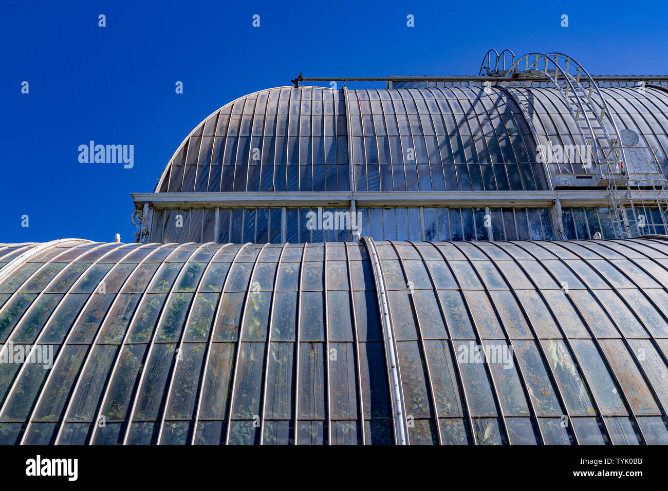 Close up du verre et métal cadre de la la Palm House au Royal Botanic Gardens, Kew , , Londres .FR Banque D'Images