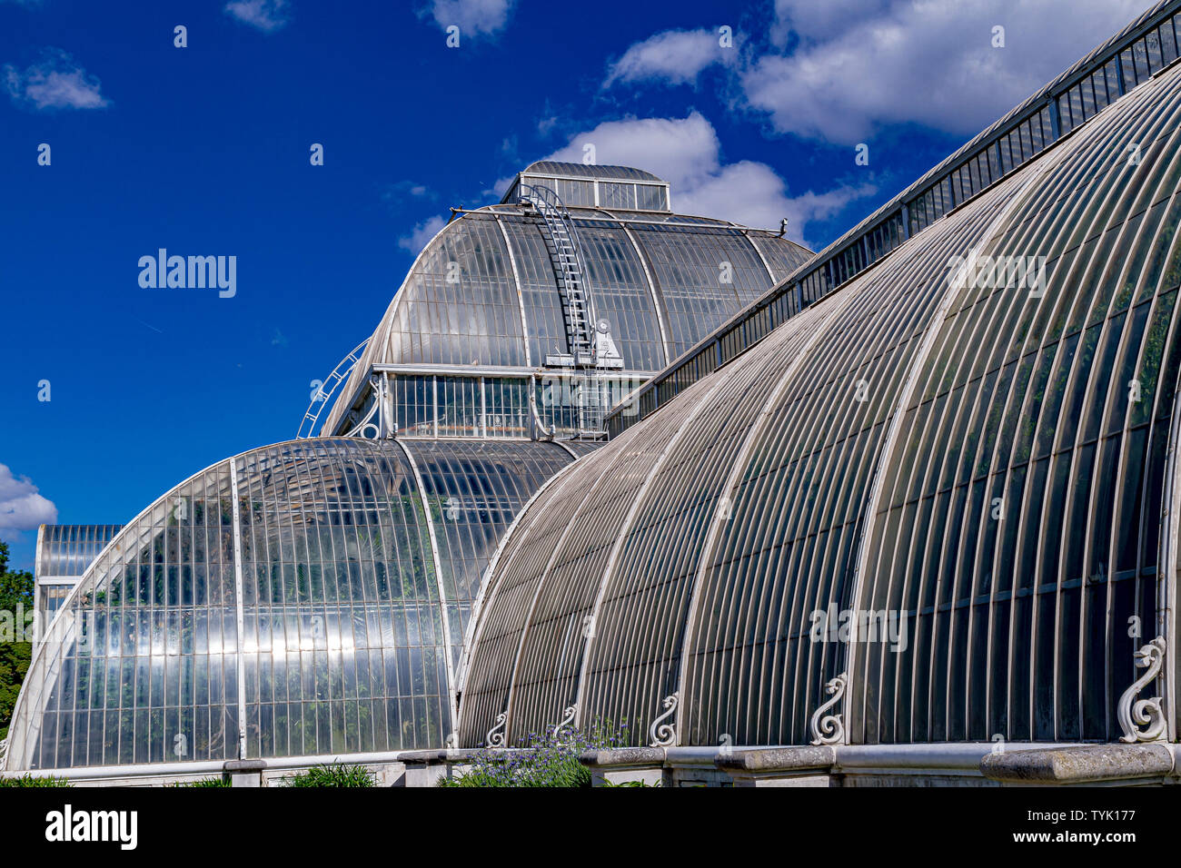 Close up du verre et métal cadre de la la Palm House au Royal Botanic Gardens, Kew , , Londres .FR Banque D'Images