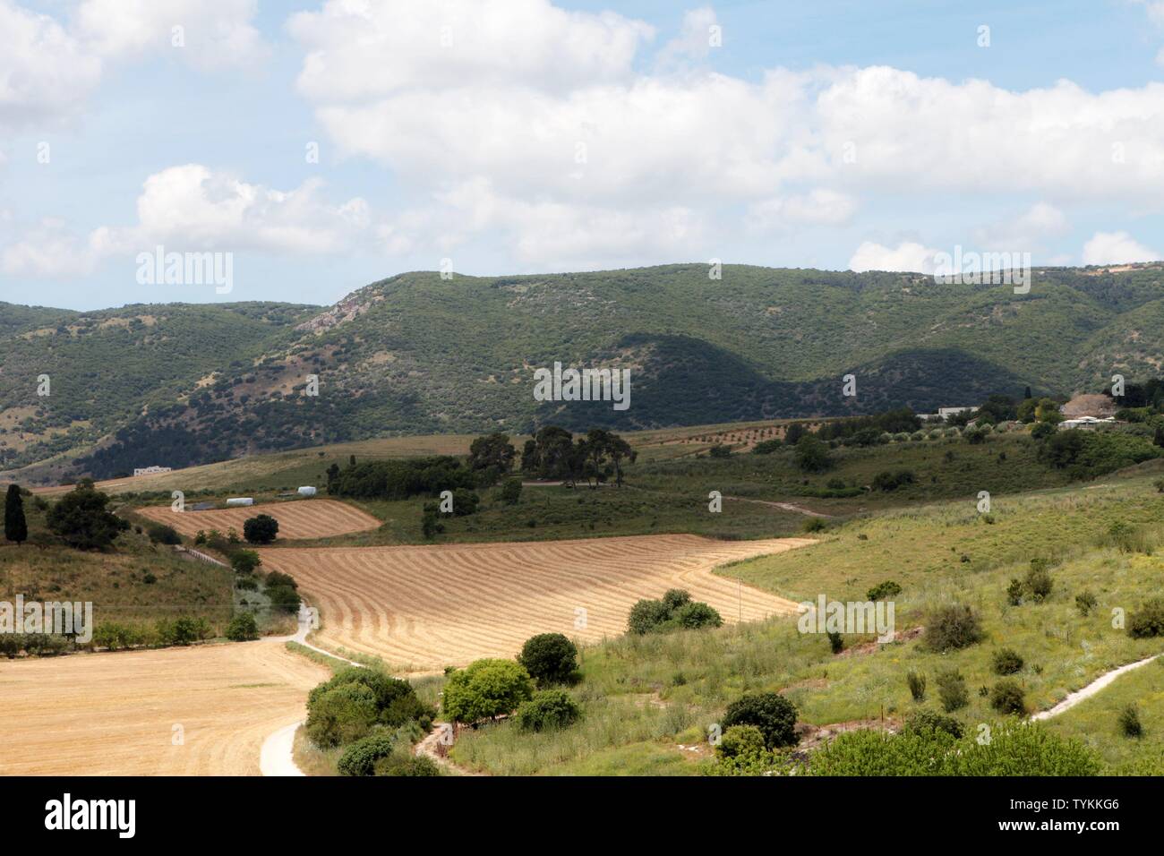 Panorama de la vallée de Jezreel paysage, vue de la montagne de précipice. Le Nord d'Israël Banque D'Images