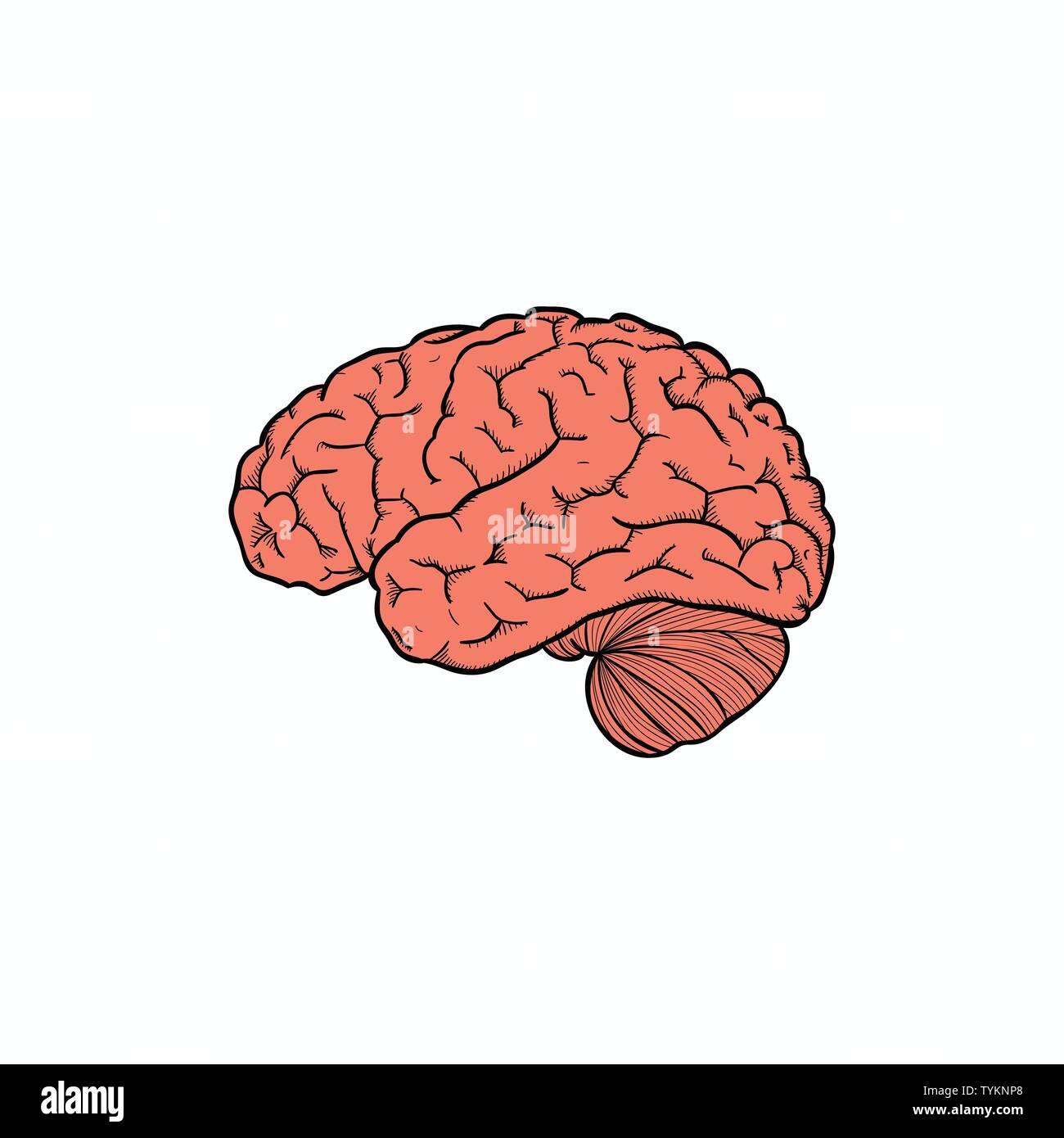 Cerveau humain abstrait modèle de conception de logo Illustration de Vecteur