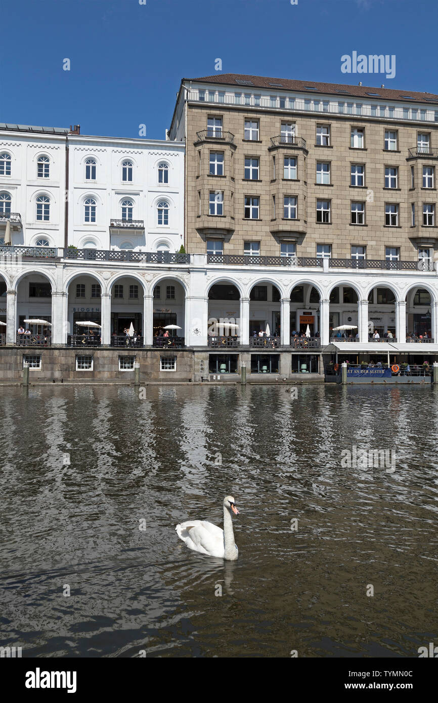 Alsterarkaden, Hambourg, Allemagne Banque D'Images