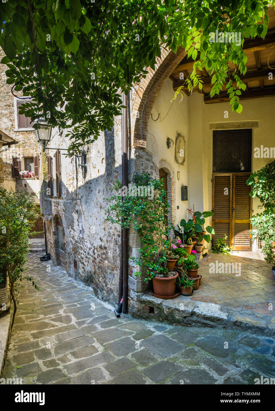 Ruelle de l'idyllique village perché médiéval de Montemerano, Toscane, Italie Banque D'Images