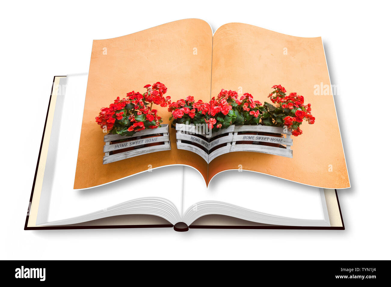 Boîte en bois de fleurs contre un mur de plâtre - le rendu 3D photo album concept image - je suis le propriétaire de copyright des images utilisées dans ce 3D render Banque D'Images Boîte en bois de fleurs contre un mur de plâtre - le rendu 3D photo album concept image - je suis le propriétaire de copyright des images utilisées dans ce 3D render Banque D'Images