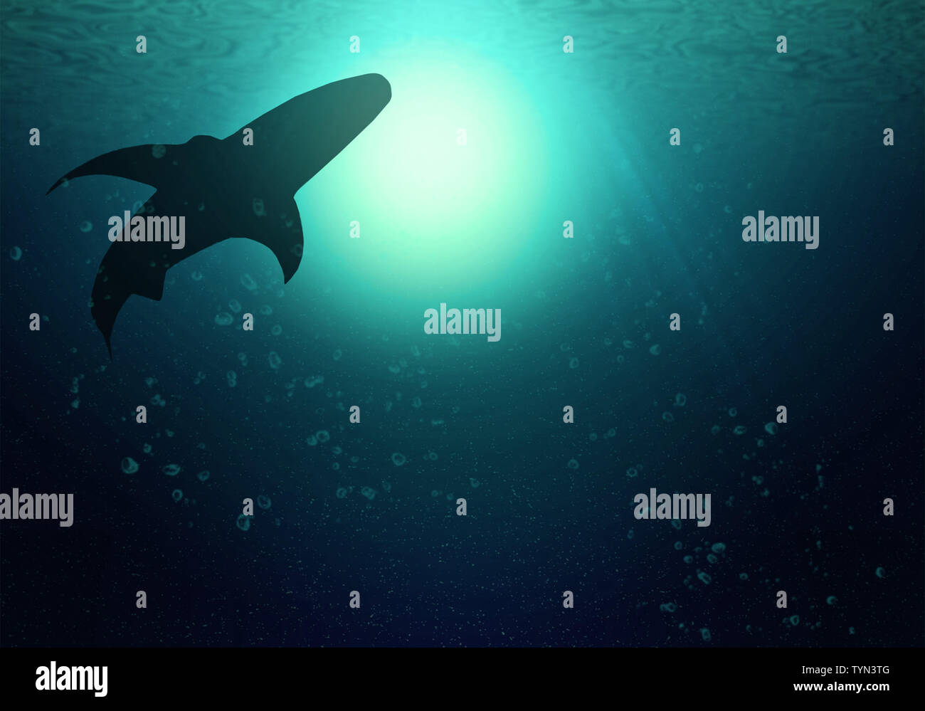 Les silhouettes de shark nager au niveau de l'océan. L'océan profond sombre illumine le soleil et les rayons de soleil. Banque D'Images