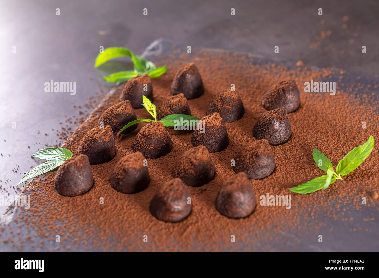 Truffes au chocolat maison à la menthe saupoudré de poudre de cacao sur ardoise. L'accent sur la truffe. Banque D'Images