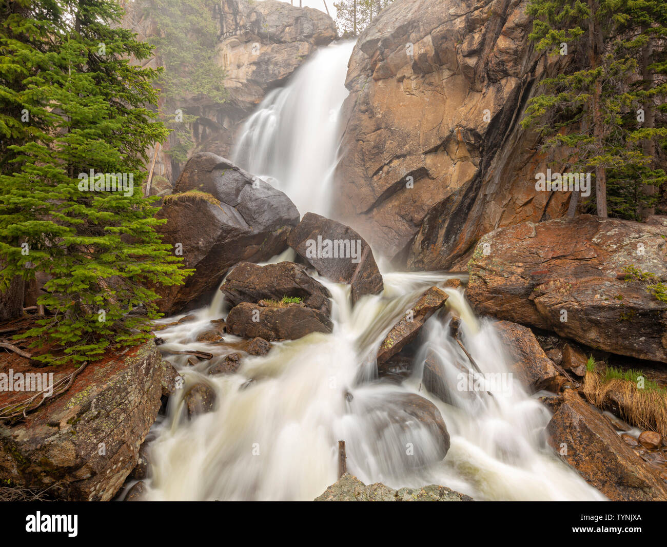 Brouillard et se détacher de pulvérisation tombe pendant le printemps Ouzel élevée de l'écoulement dans la zone du bassin de sauvages Rocky Mountain National Park, Colorado, Allenspark. Banque D'Images