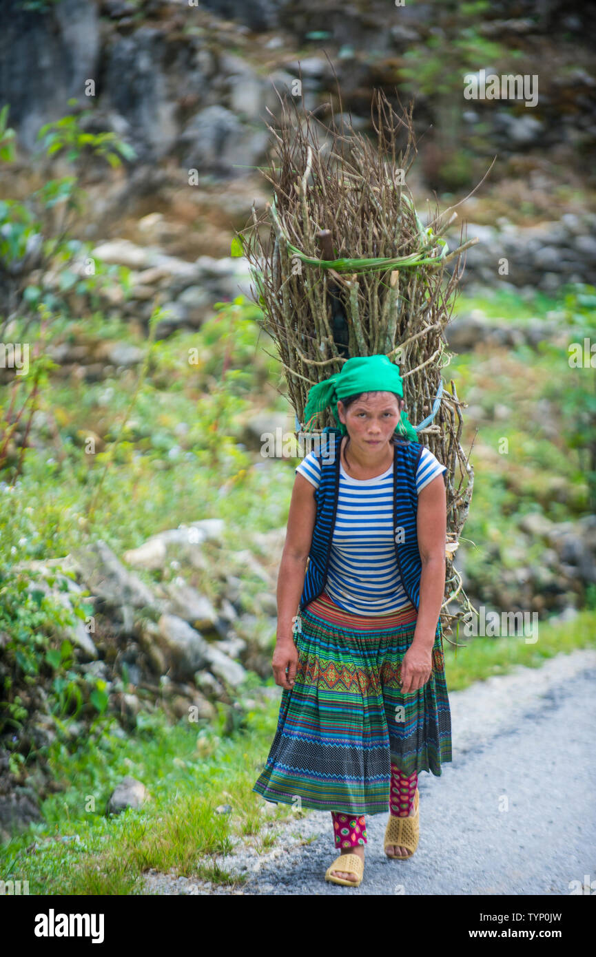 Dans un agriculteur vietnamien countrside près de Ha Giang, Vietnam Banque D'Images