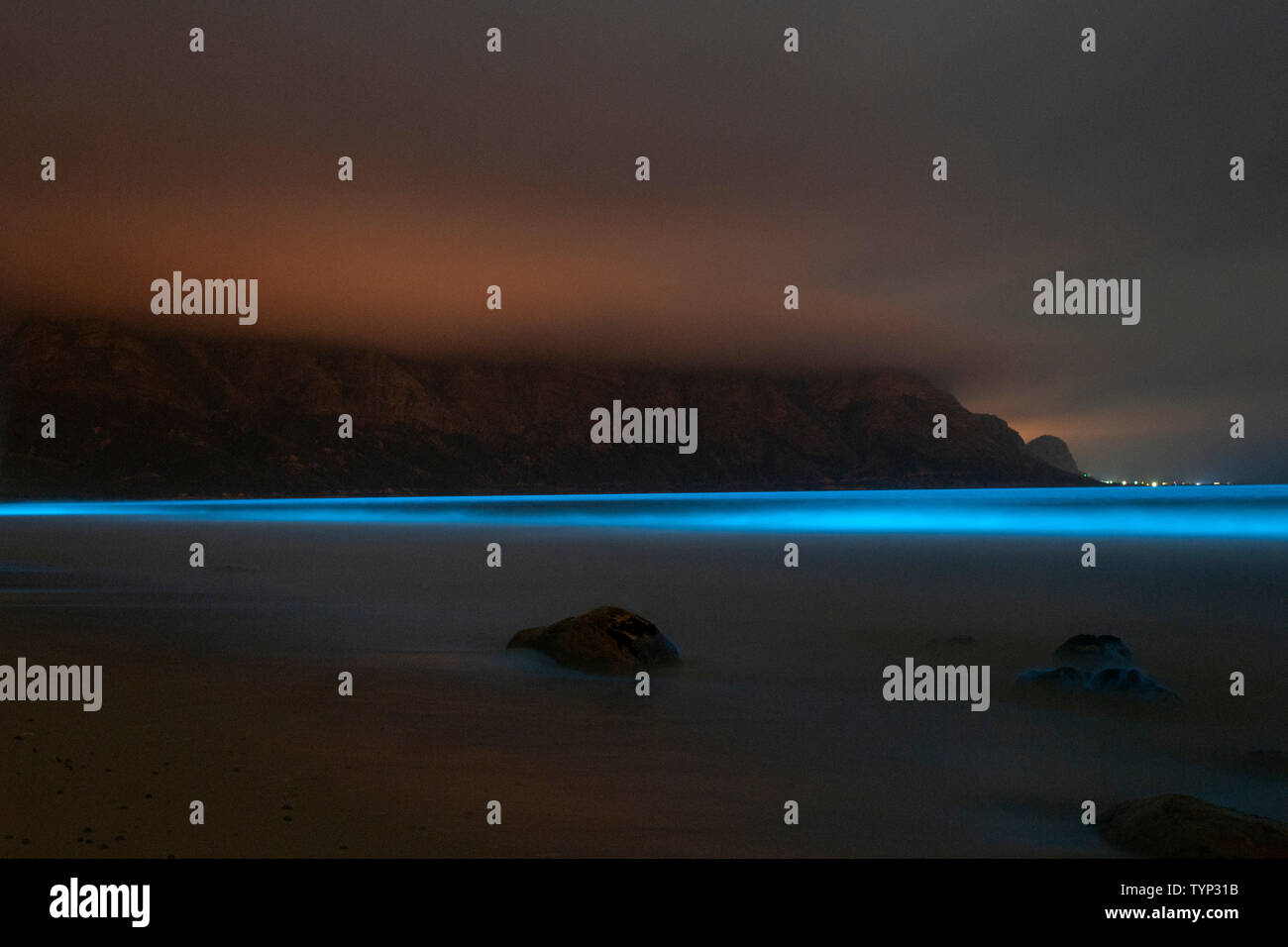 Le phytoplancton bioluminescente illuminant le océan le long de la côte, à la réserve de biosphère de Kogelberg près de Cape Town, Afrique du Sud. Banque D'Images