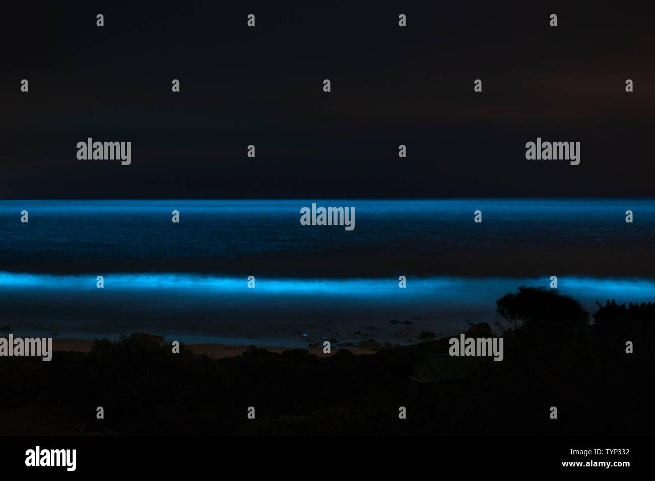 Bioluminescence Sea Banque d'image et photos Alamy