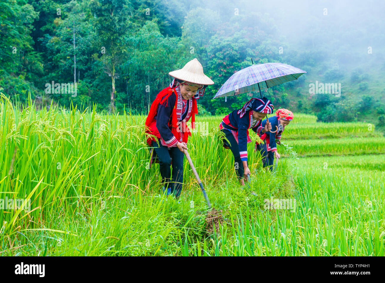 Les femmes de la minorité Dao rouge dans un village près de Ha Giang au Vietnam Banque D'Images