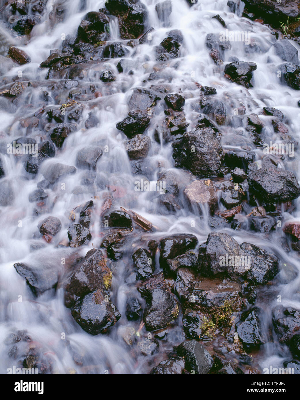 USA, Washington, Olympic National Park, Cascade sur petit ruisseau en dessous de la crête de Klahhane. Banque D'Images
