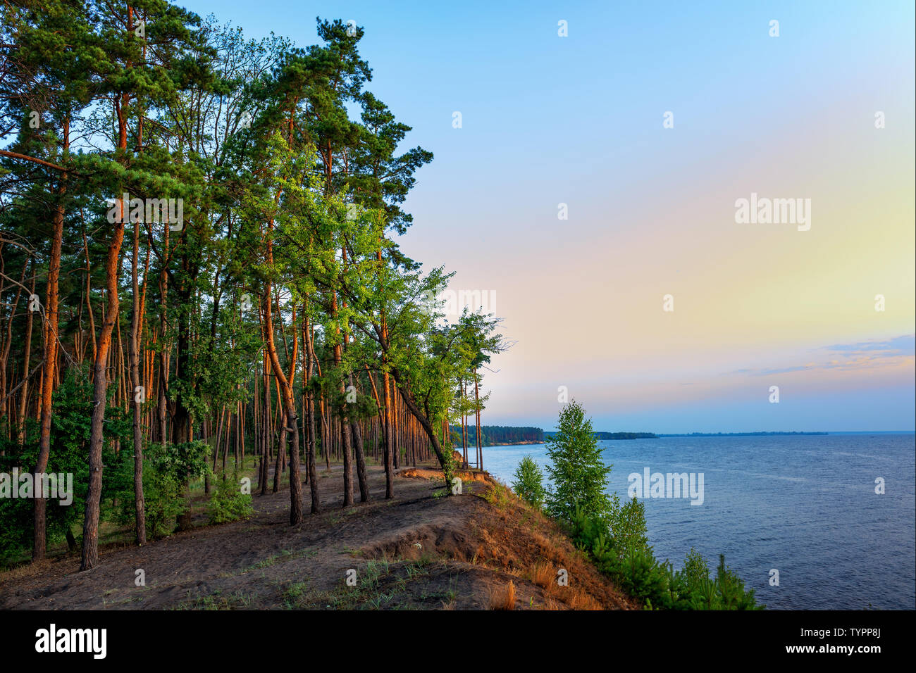 Rive du lac et forêt de pins allumé par Sun Banque D'Images