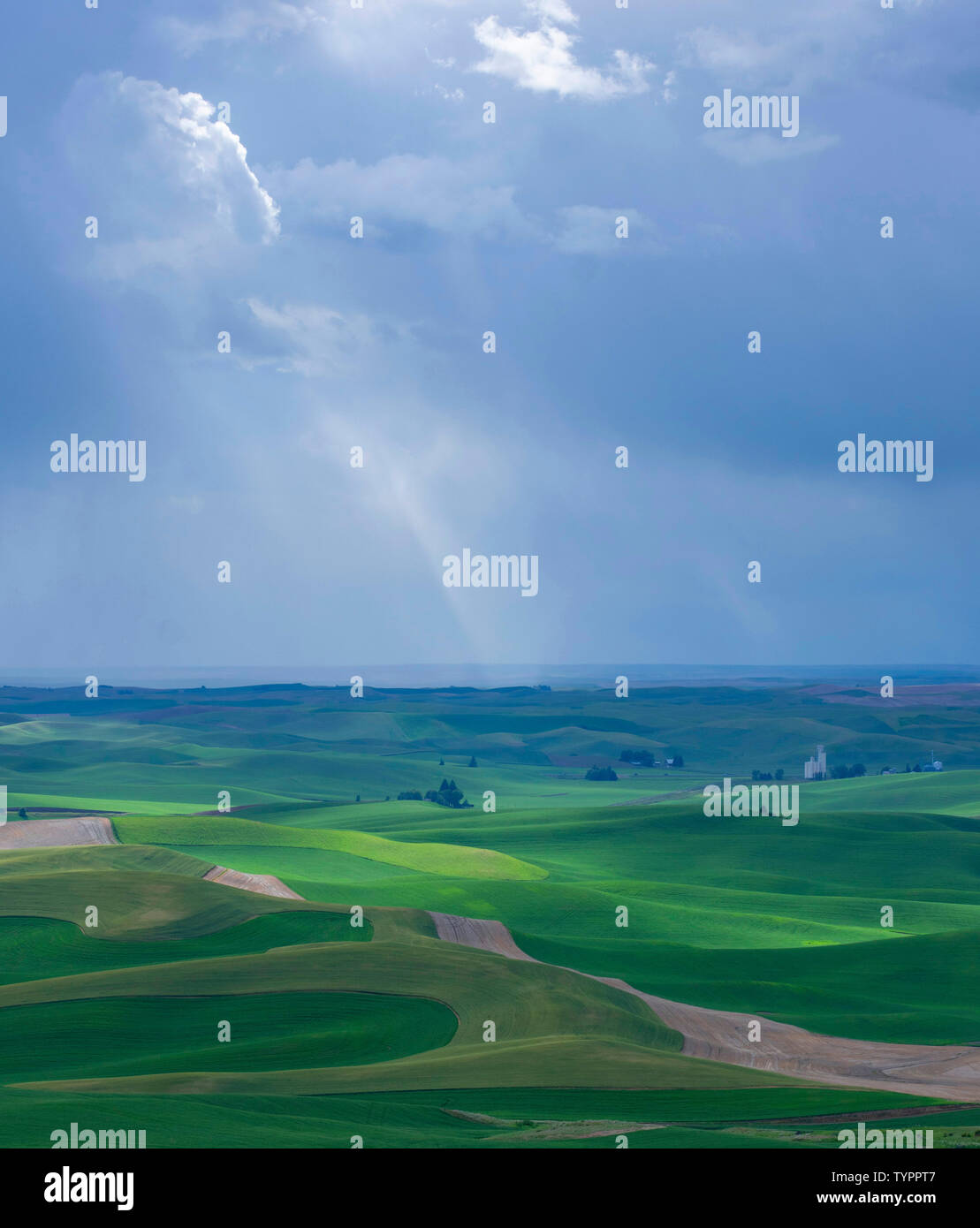 Paysage près de Steptoe Butte, Washington USA, Palousienne Banque D'Images