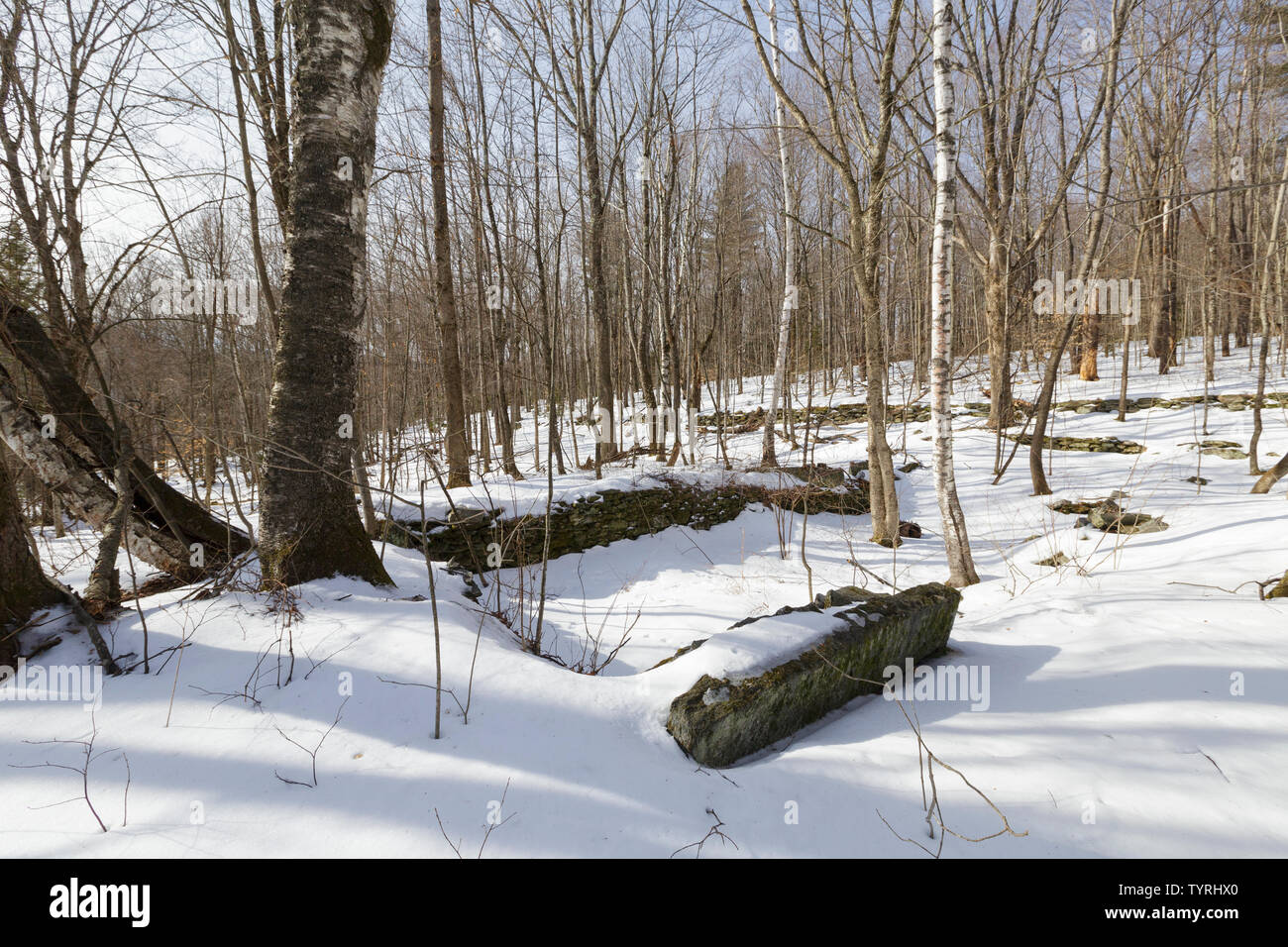 Site de l'élevage au Ricker Gédéon Ricker abandonnés communauté agricole du bassin sur la montagne de Ricker de Waterbury, Vermont. Banque D'Images