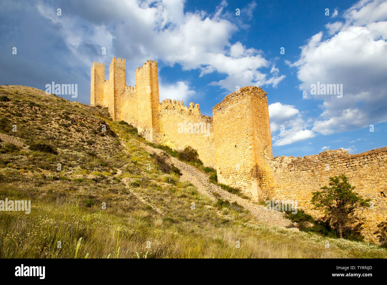 Vue sur la cité médiévale fortifiée