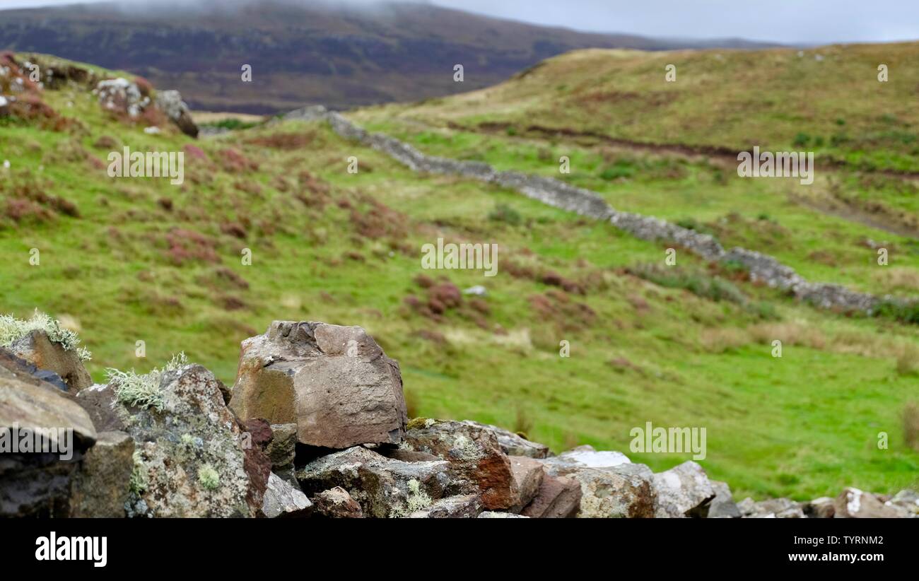 Un mur de pierre dans le livre vert des highlands d'écosse Banque D'Images