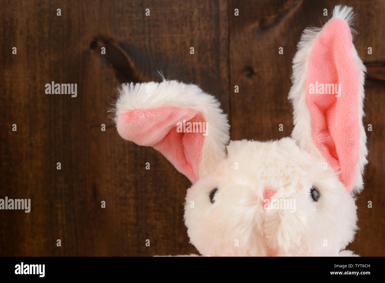 Lapin de Pâques en peluche gros plan avec l'oreille de disquette Banque D'Images