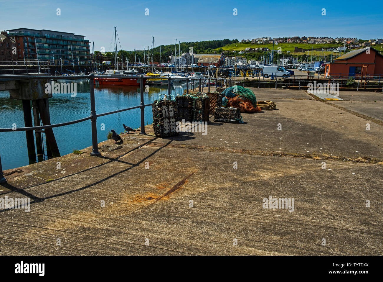 Port et port de plaisance de Whitehaven Banque D'Images