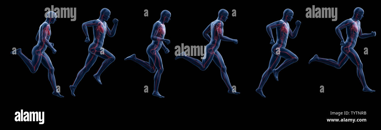 Rendu 3d illustration d'un exécutant mans coeur Banque D'Images