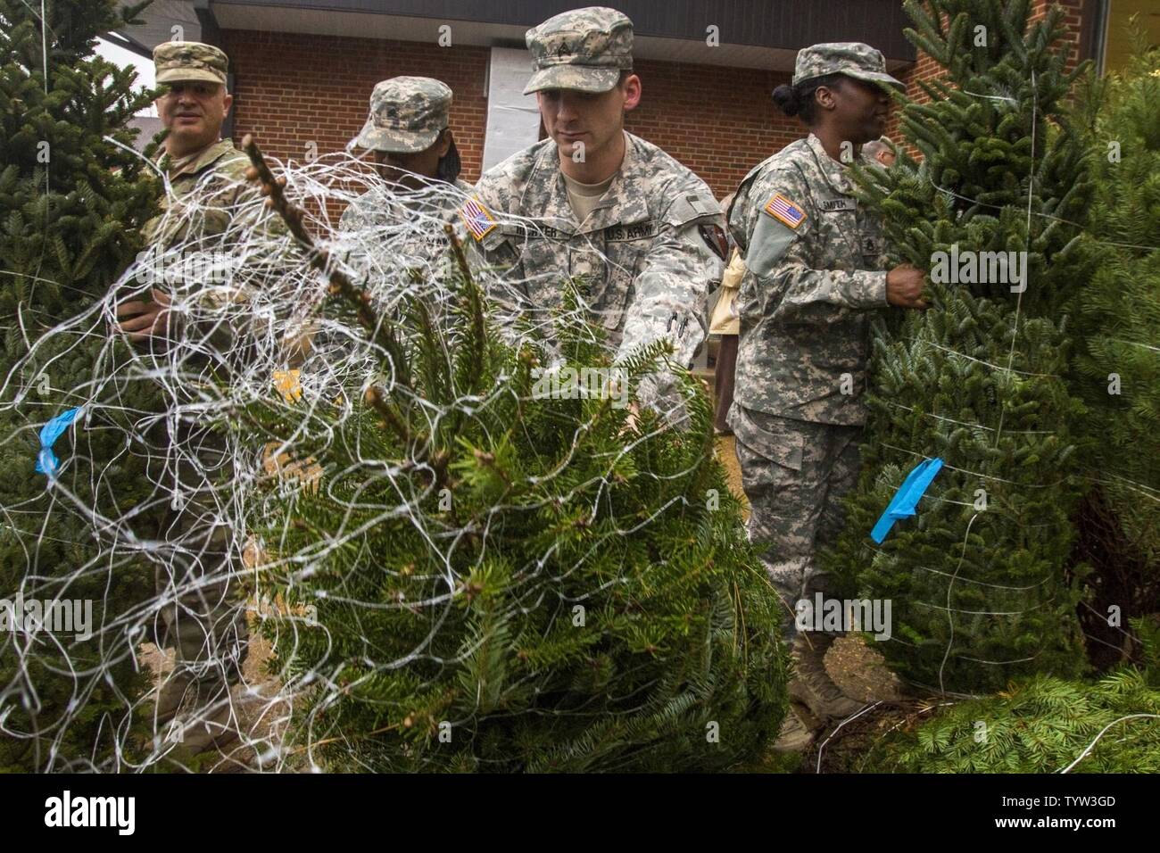 De gauche à droite, le Sgt. 1re classe Albert Veltri, Sgt. Latashia Brown et Paul Richter, et le sergent. Rachelle Smith, New Jersey Army National Guard, choisir des arbres de Noël au cours de l'assemblée annuelle des arbres de Noël pour les familles militaires du New Jersey à la Commission militaire et de la famille Centre d'assistance, Bordentown, N.J., le 30 novembre 2016. Les producteurs d'arbres de Noël du New Jersey a fait don de 100 arbres, qui ont été distribuées aux soldats de la Garde nationale du New Jersey et les aviateurs au Centre, ainsi qu'à trois armoiries à travers l'état. Banque D'Images