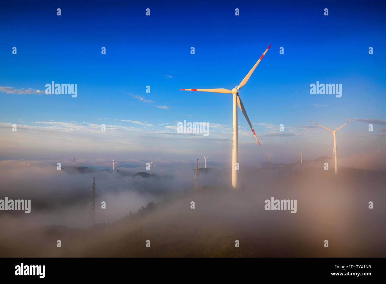 rencontre arc en ciel