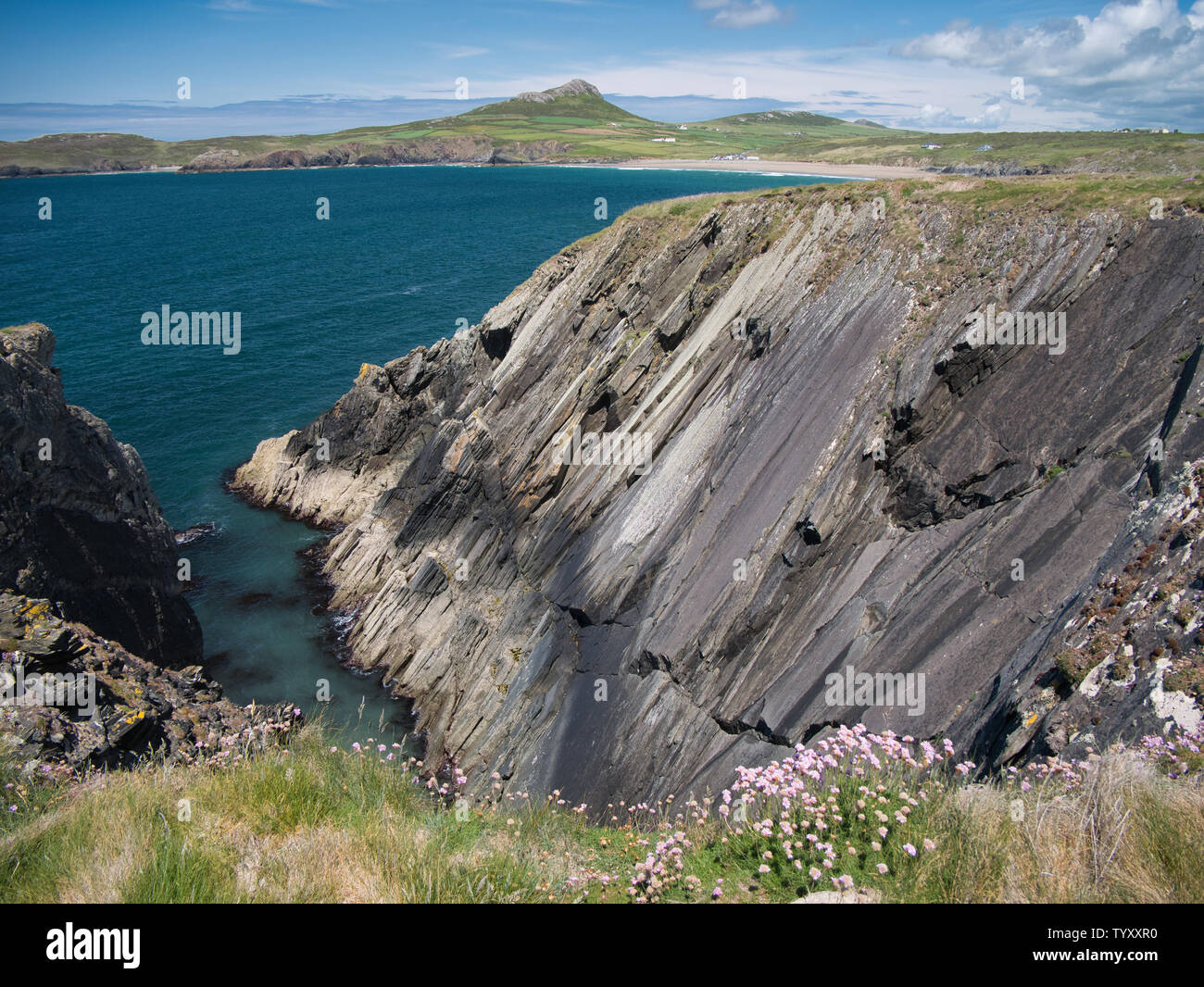 Dans les falaises côtières, Pembrokeshire, Pays de Galles, Royaume-Uni, du point de vue de la côte montrant beaucoup de couches stratifiées Banque D'Images