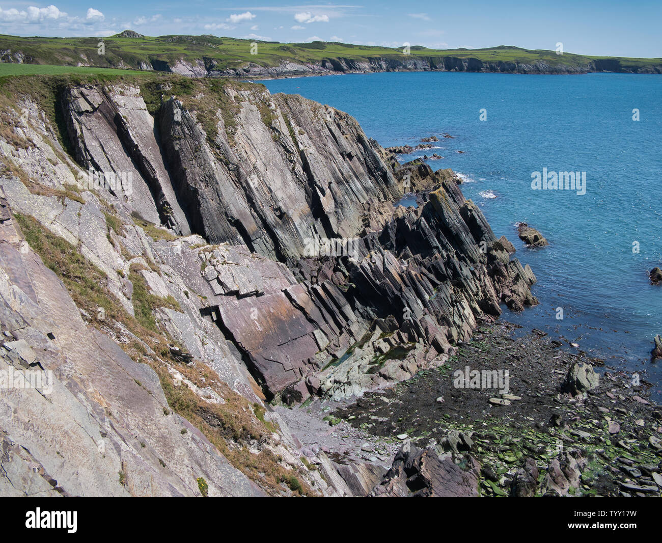 Tendance rock strata falaises côtières dans la région de Pembrokeshire, Pays de Galles du Sud, au Royaume-Uni, comme vu de la côte Banque D'Images