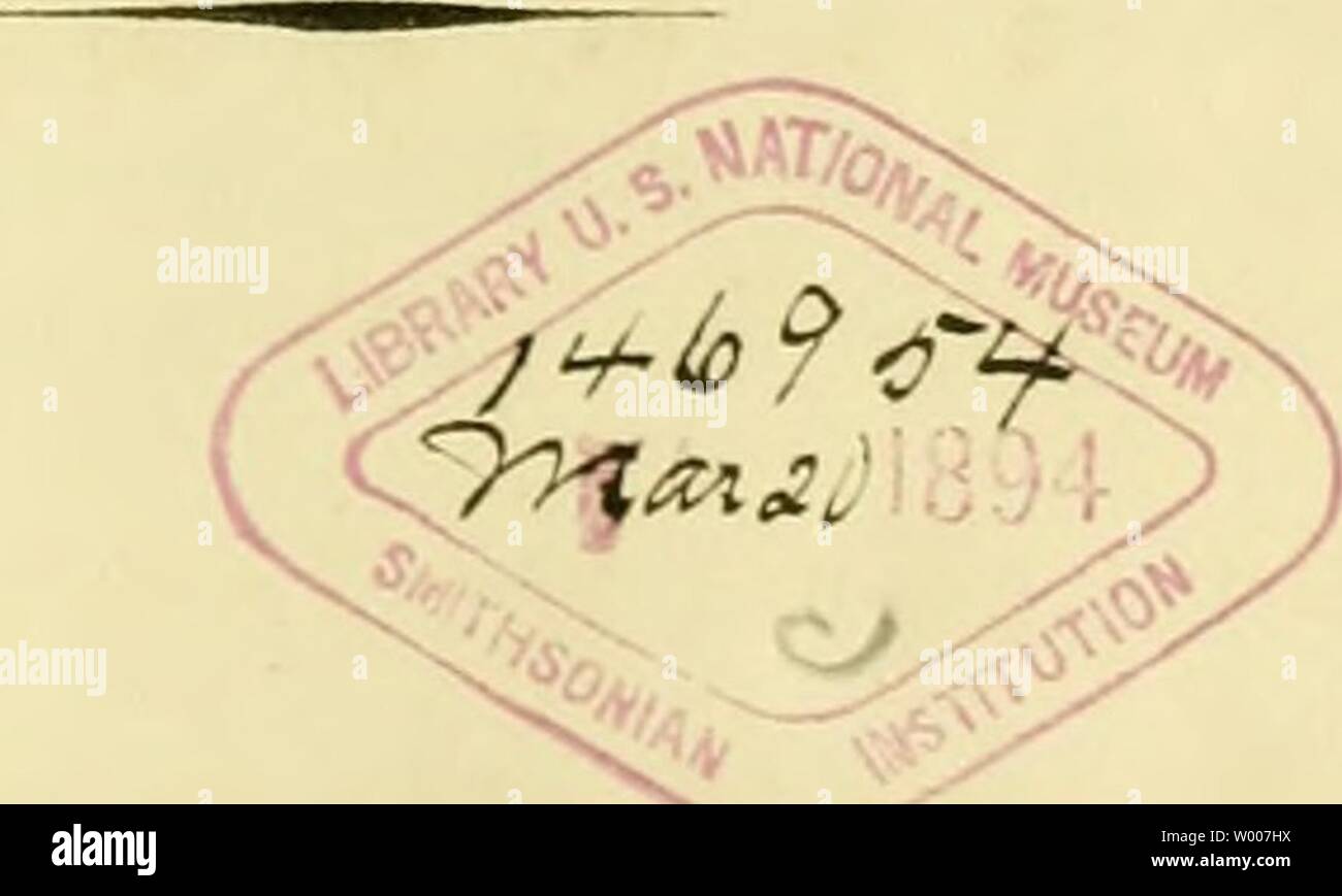 Image d'archive à partir de la page 10 de mourir (Flussperlmuscheln Unio et Hyria). Die Flussperlmuscheln (Unio et Hyria.) dans Abbildungen nach der Natur mit Beschreibungen dieflussperlmusc00ks Année : 1848 •&gt ;&Lt ; d i e ffoi 1F II s s p e r i m u s c h e 111 (Uiiio et Hyria. iii) Abliildiiiigcii Hatiir y mit nach der TOD / Beschreibungen Dr H. €. Hüstcr. ]Lüriiberg 184S. Verlag von Bauer und Raspe. (Julius Mer-j.) Sectionil Library- Dept.ofM : ! !. U.S.N.M. Lea Collection. Banque D'Images