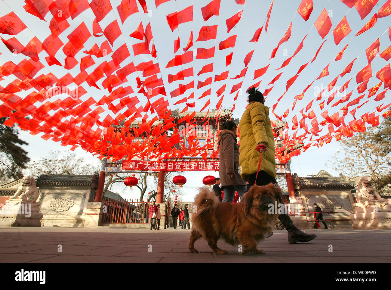 Deux femmes à pied depuis leur chien le Temple taoïste Baiyunguan, décoré pour le Nouvel An le festival du printemps, dans le centre de Pékin, Chine le 17 février 2007. La nouvelle année lunaire, ou Fête du printemps, le dimanche commence à entrer dans l'année du cochon, mais les Chinois ont été l'embarquement les trains et les avions depuis plusieurs semaines à la maison pour les réunions de famille. (UPI Photo/Stephen Shaver) Banque D'Images