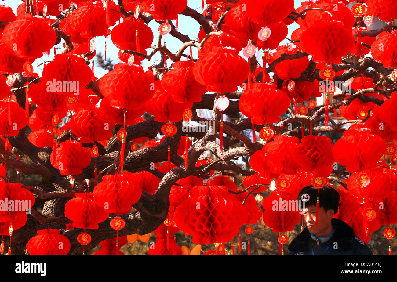 Un garde de sécurité chinois maintient une veille sur la bohème la visite d'une foire du temple Festival du printemps pour célébrer la nouvelle année lunaire de la Chine à Pékin le 4 février 2014. Selon le calendrier lunaire chinois, la Chine se félicite de l'année du cheval le 31 janvier. Le cheval, classé septième parmi les 12 animaux sur le zodiaque chinois, est l'un des signes les plus aimés comme il est largement considéré comme un symbole de la force et de la vitesse. UPI/Stephen Shaver Banque D'Images