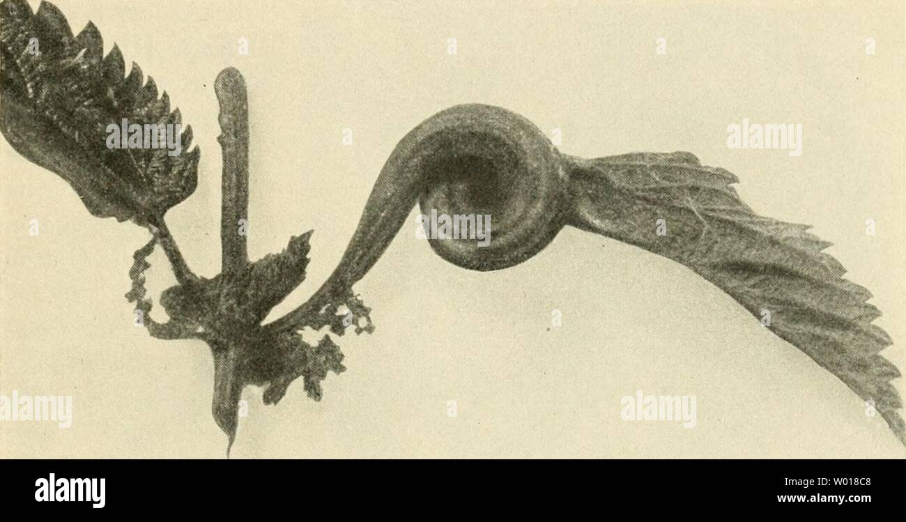 Verschiedenartige Banque D Image Et Photos Alamy