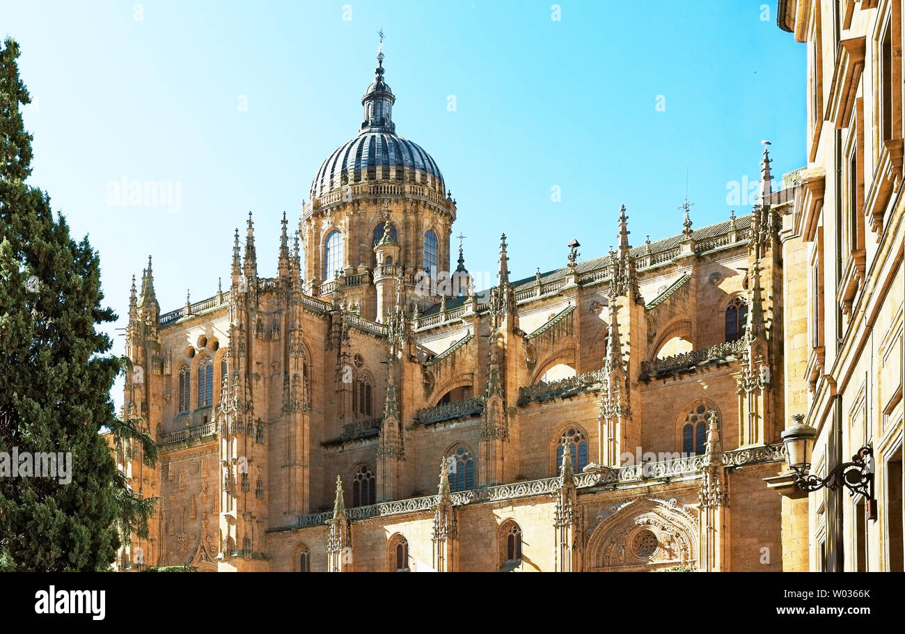 Tours de la plus ancienne université de Salamanque, Espagne Banque D'Images