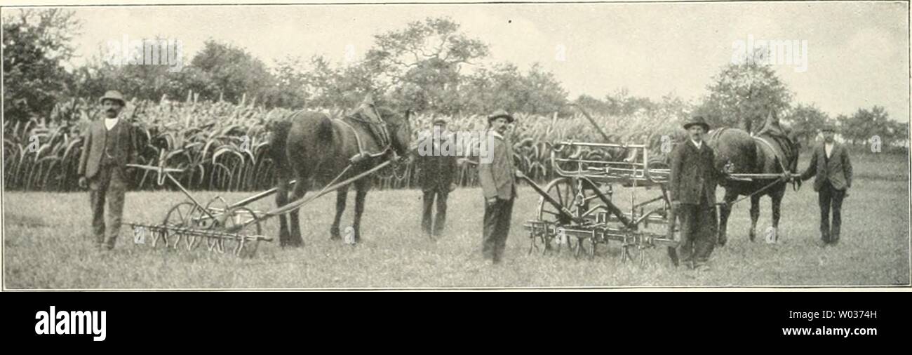 Image d'archive à partir de la page 177 de Die deutsche Landwirtschaft unter Kaiser Banque D'Images