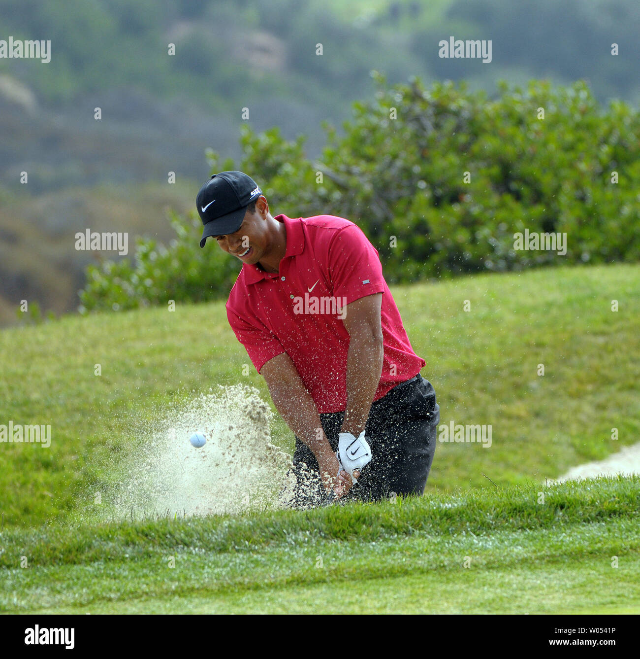 Tiger Woods hits à partir d'un bunker et sur le 3ème au cours de l'action green play off à l'US Open Woods a remporté le tour des séries d'entre nous ouvrir à parcours de golf de Torrey Pines à San Diego le 16 juin 2008. (Photo d'UPI/Earl S. Cryer) Banque D'Images