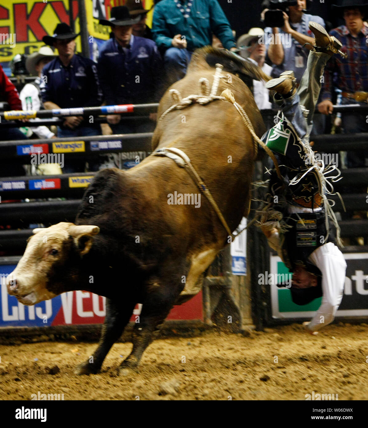 Billy Robinson de Galax, Virginie, va voler la tête la première au large de Jacob's Pet le taureau durant son trajet dans la séance d'ouverture de la Professional Bull Riders sur invitation de l'entreprise au Scottrade Center à St Louis le 22 février 2008. (Photo d'UPI/Bill Greenblatt) Banque D'Images