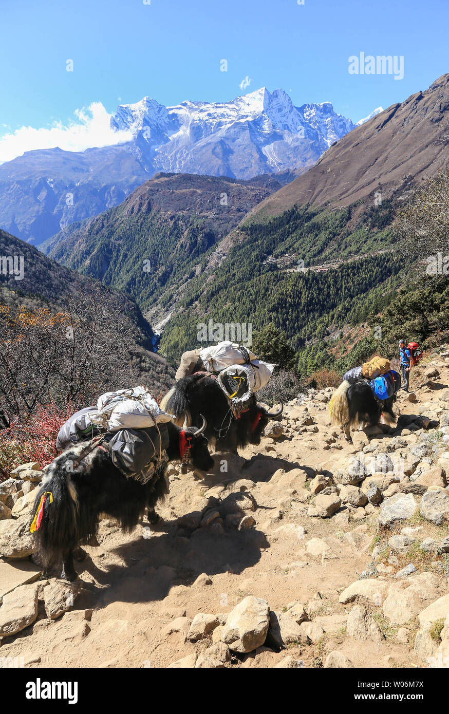 Camp de base de l'Everest Trek, parc national de Sagarmatha (Népal) Banque D'Images