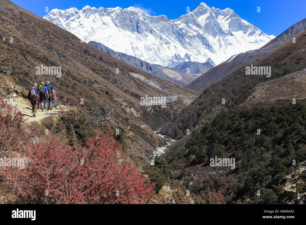 Camp de base de l'Everest Trek, parc national de Sagarmatha (Népal) Banque D'Images
