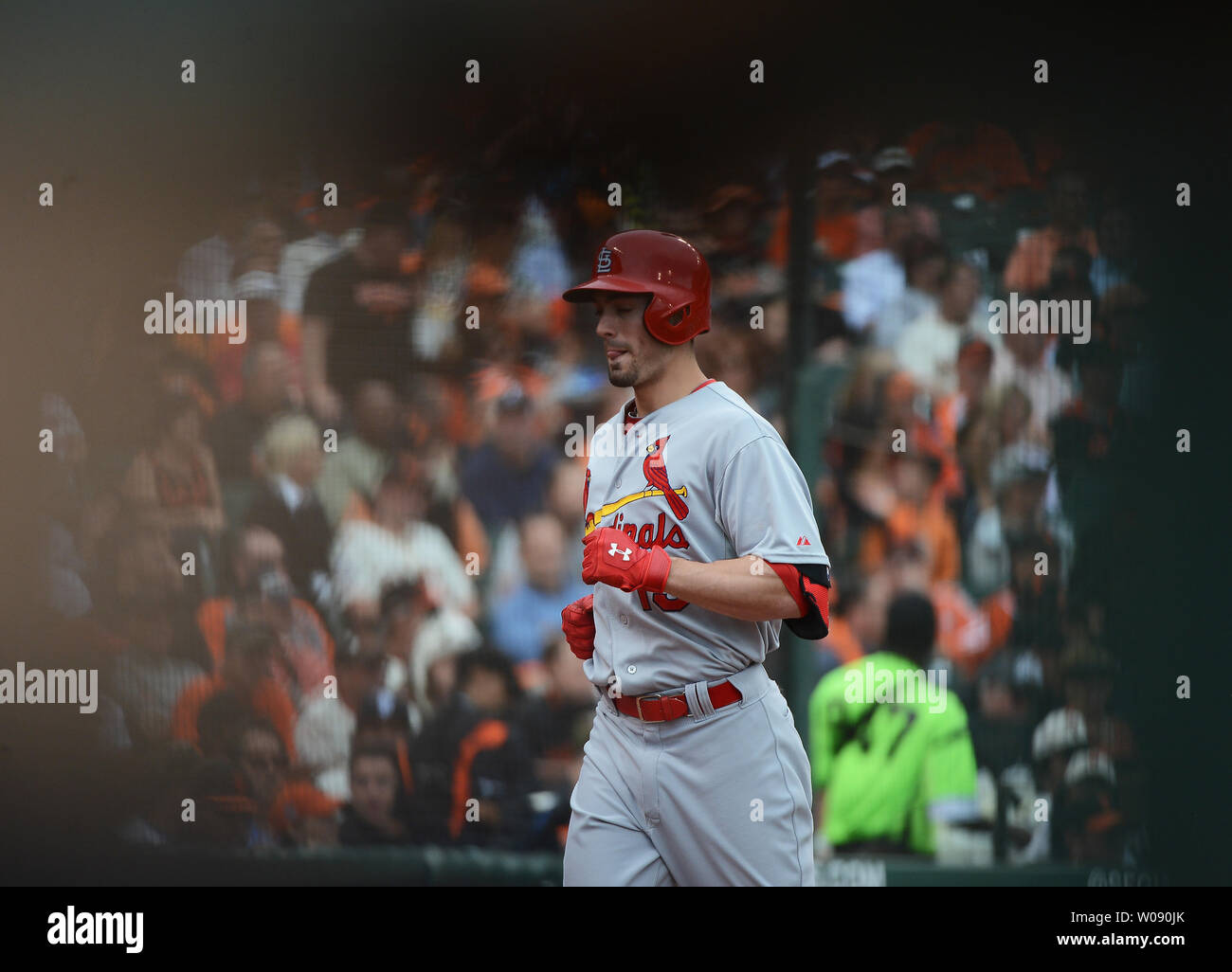 Cardinals de Saint-Louis droit fielder Randal Grichuk scores sur un solo home run dans la septième manche du Match 3 de la série de championnat de la Ligue nationale à AT&T Park à San Francisco le 14 octobre 2014. San Francisco et Saint Louis sont à égalité 1-1 dans la série. UPI/Terry Schmitt Banque D'Images